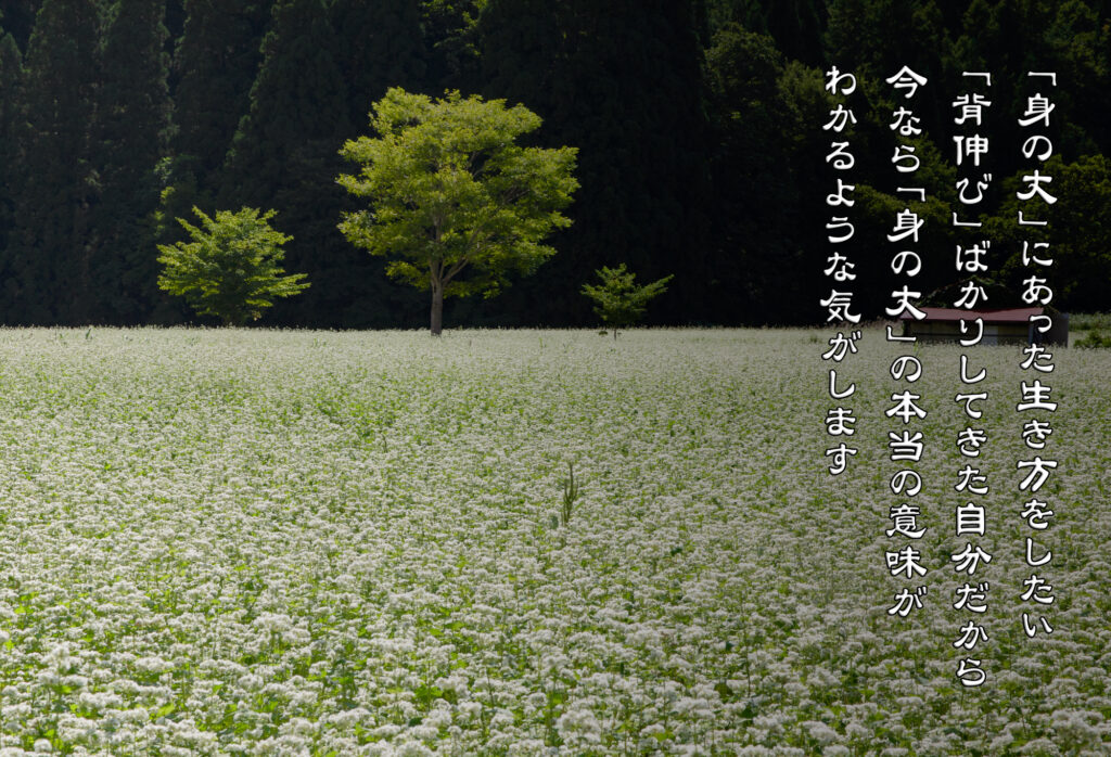 ソバの花畑に立つ木々